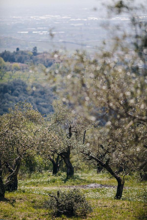 Villa Desiderio Tuscany Pistoia Bagian luar foto