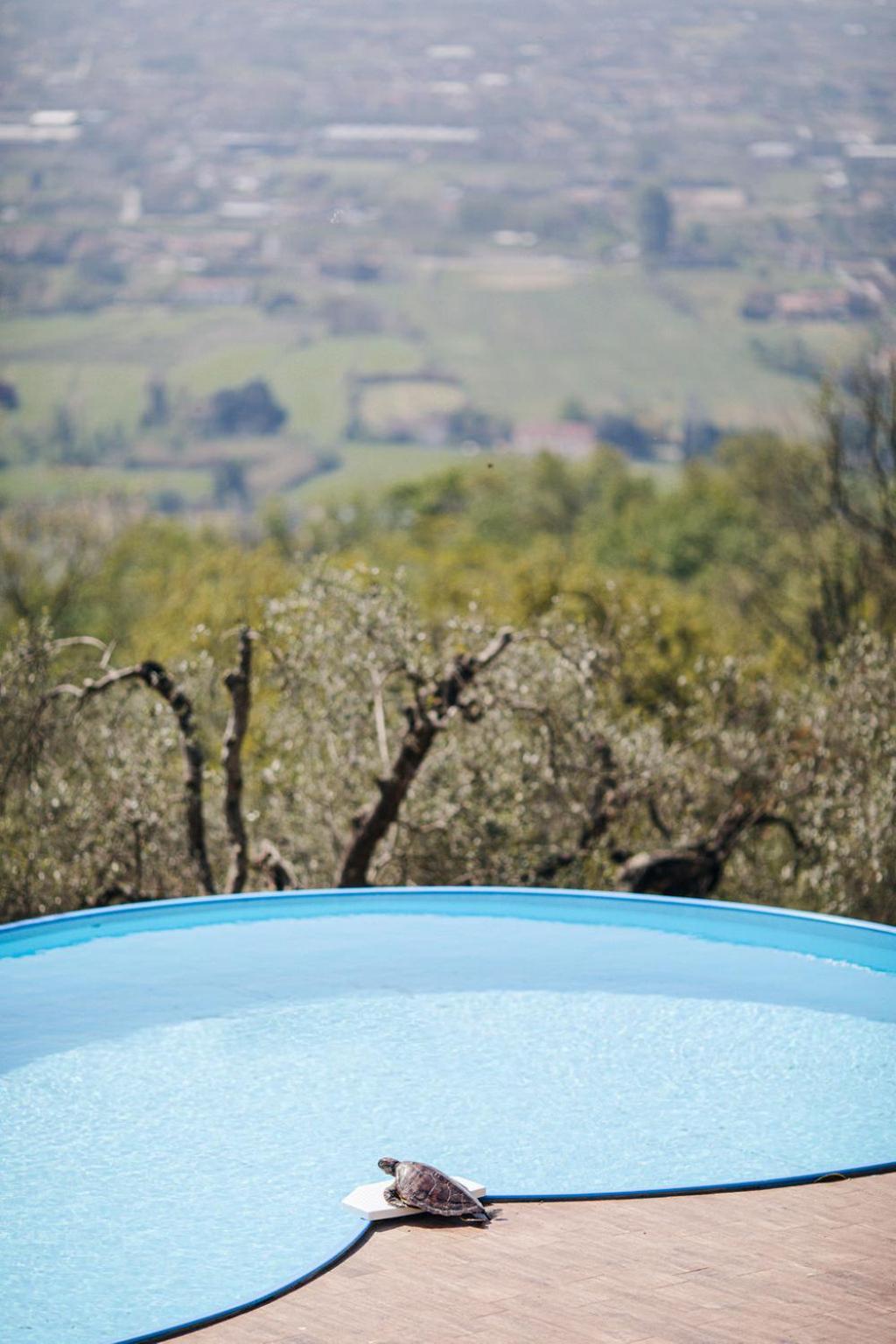 Villa Desiderio Tuscany Pistoia Bagian luar foto